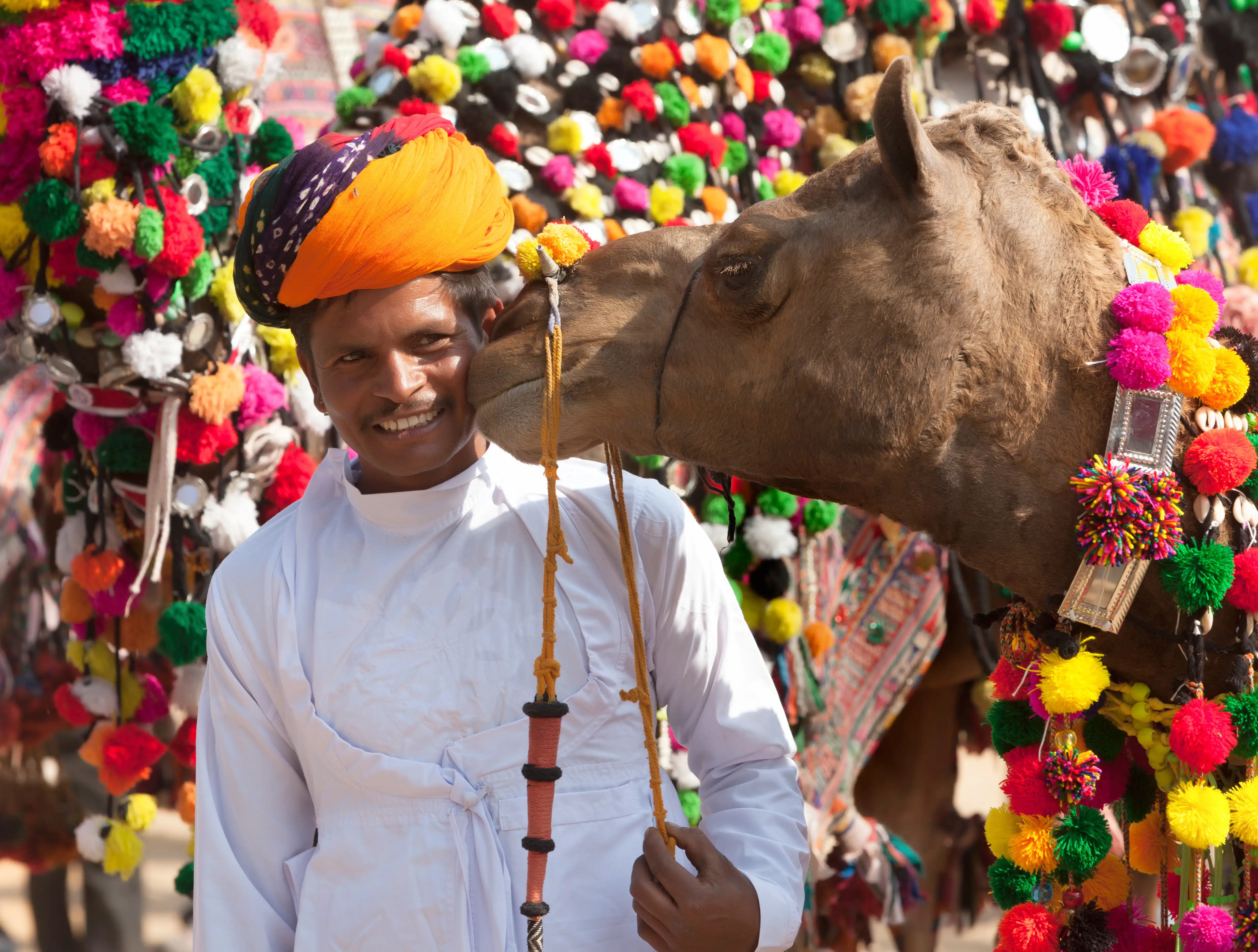 North India Tour Package