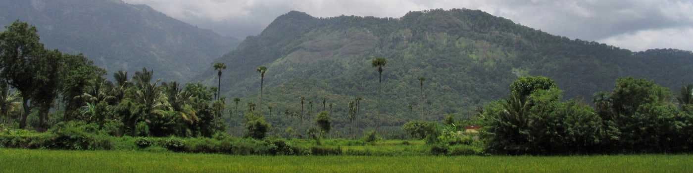 Palakkad