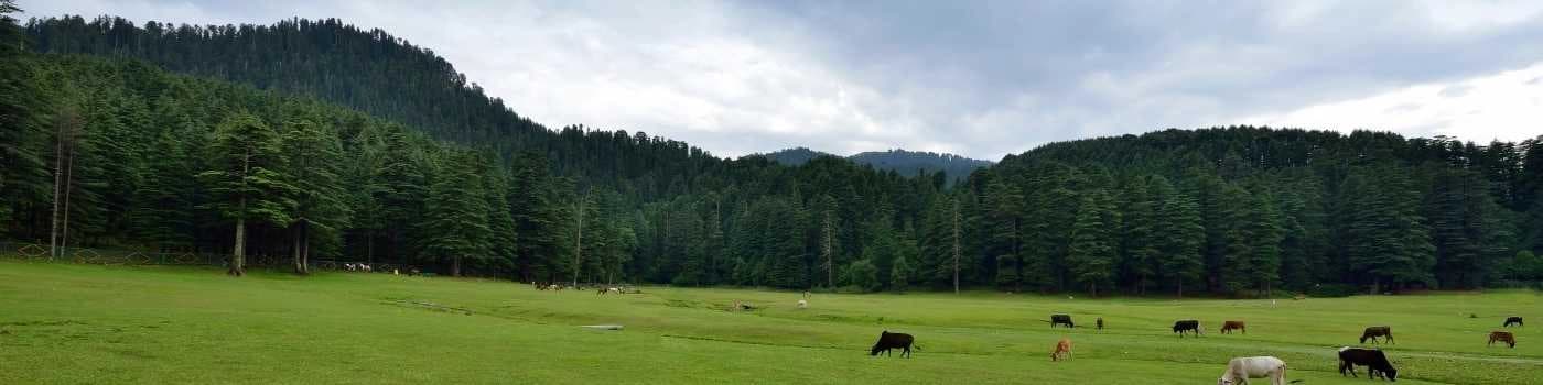 Dalhousie