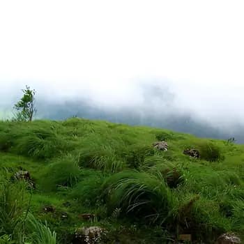 Ponmudi