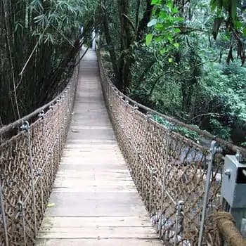 Vythiri Hill Station