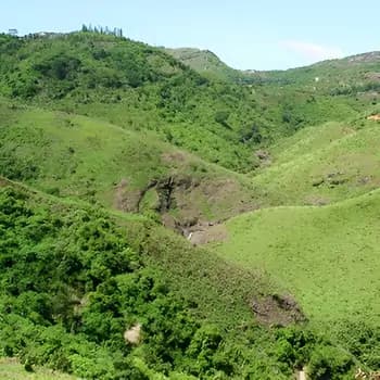 Vagamon Hill Station