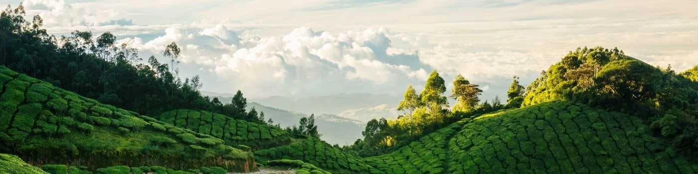 Hill Station