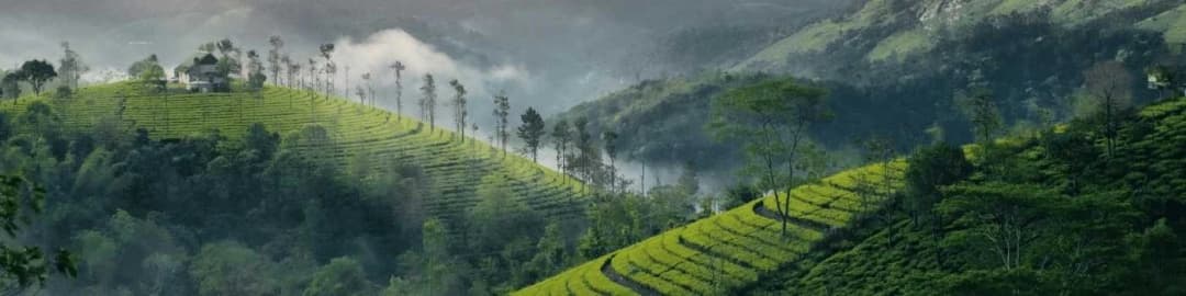 Vagamon Hill Station