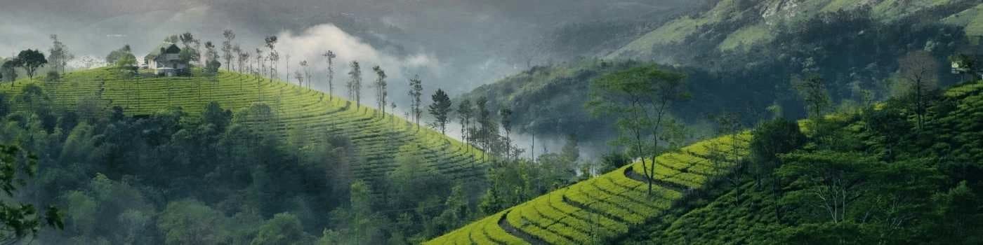 Vagamon Hill Station