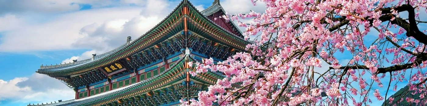 South Korea Tour Packages