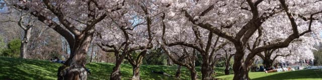 Christchurch Tour Packages