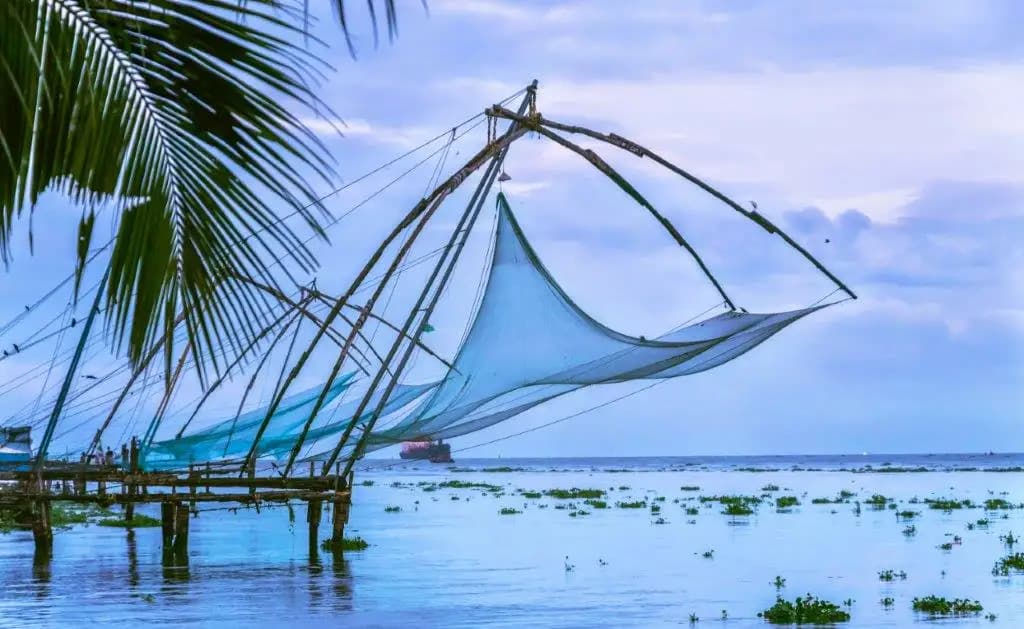 Kerala Panorama Group Journey – Hills, Backwaters & Coastal Wonders