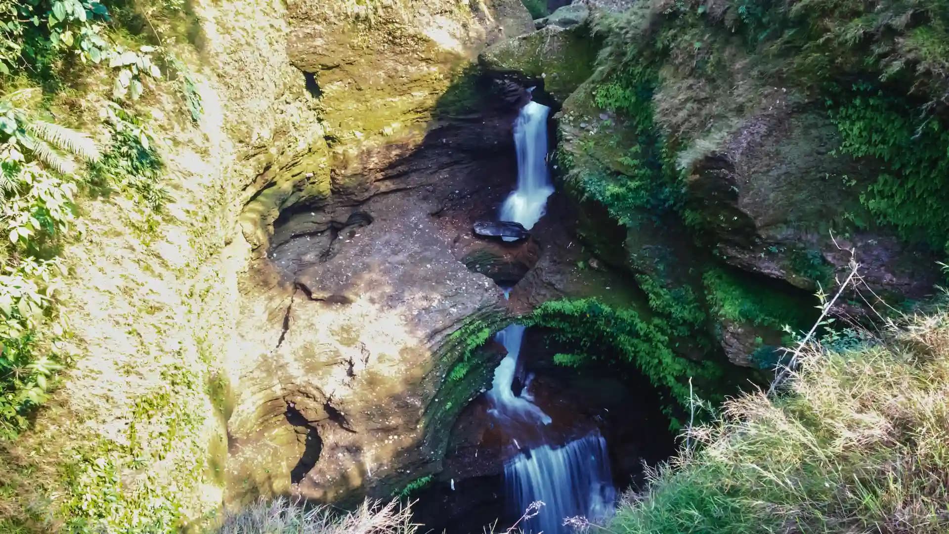 Chitwan National park