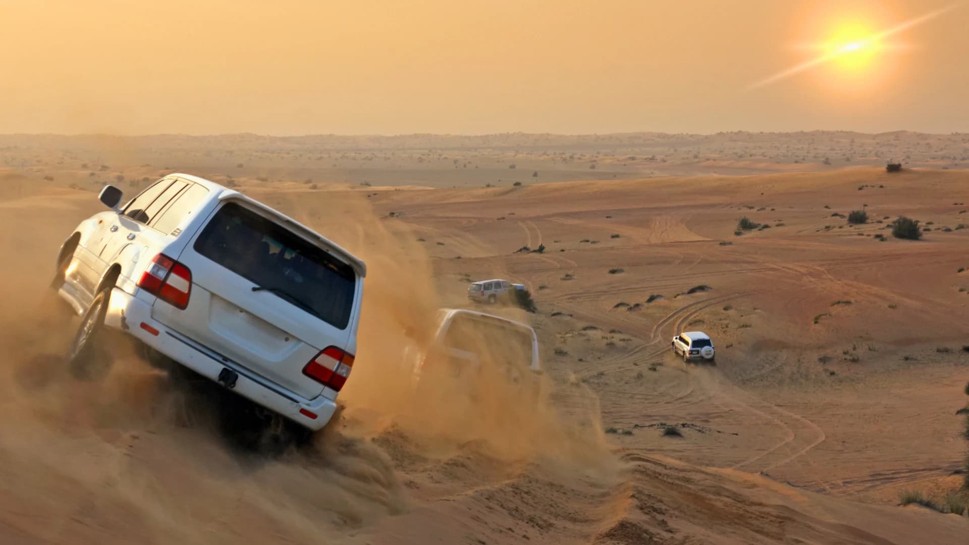 Dubai Desert safari