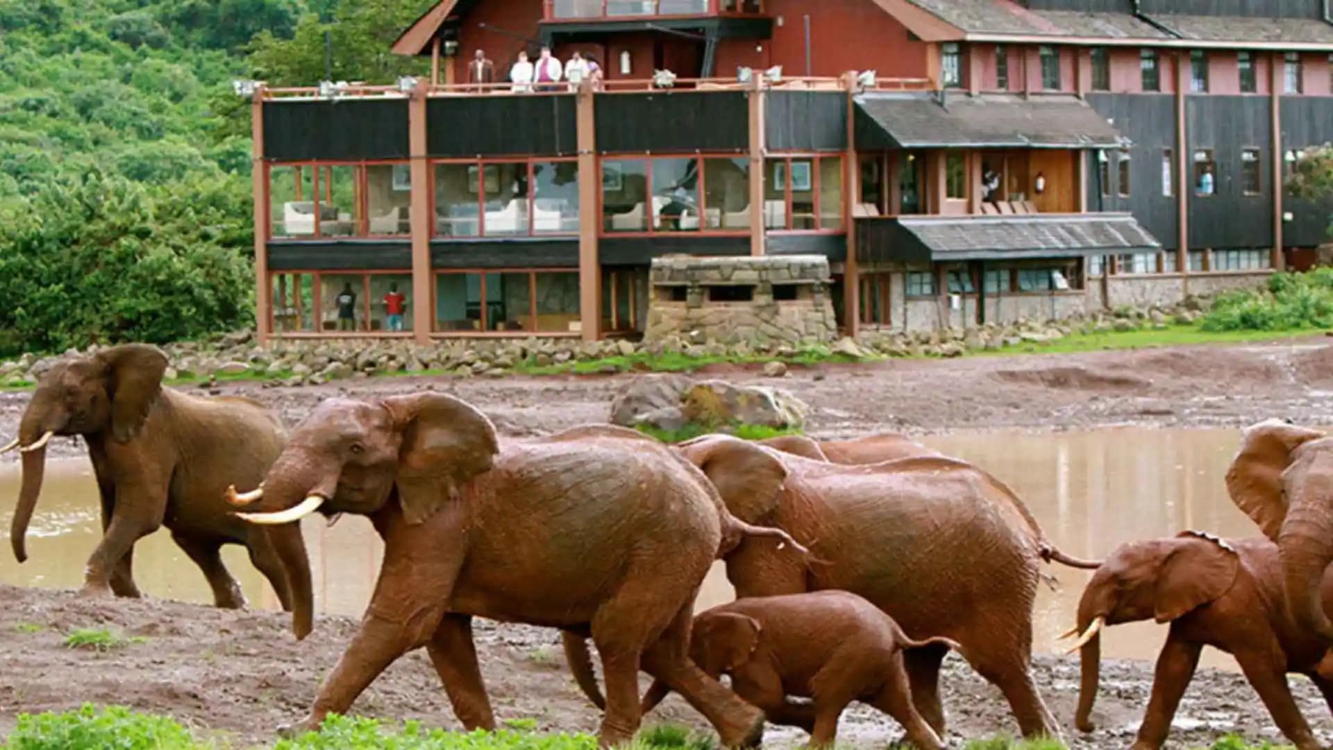 Aberdares Forest Stay Along With Equator Crossing