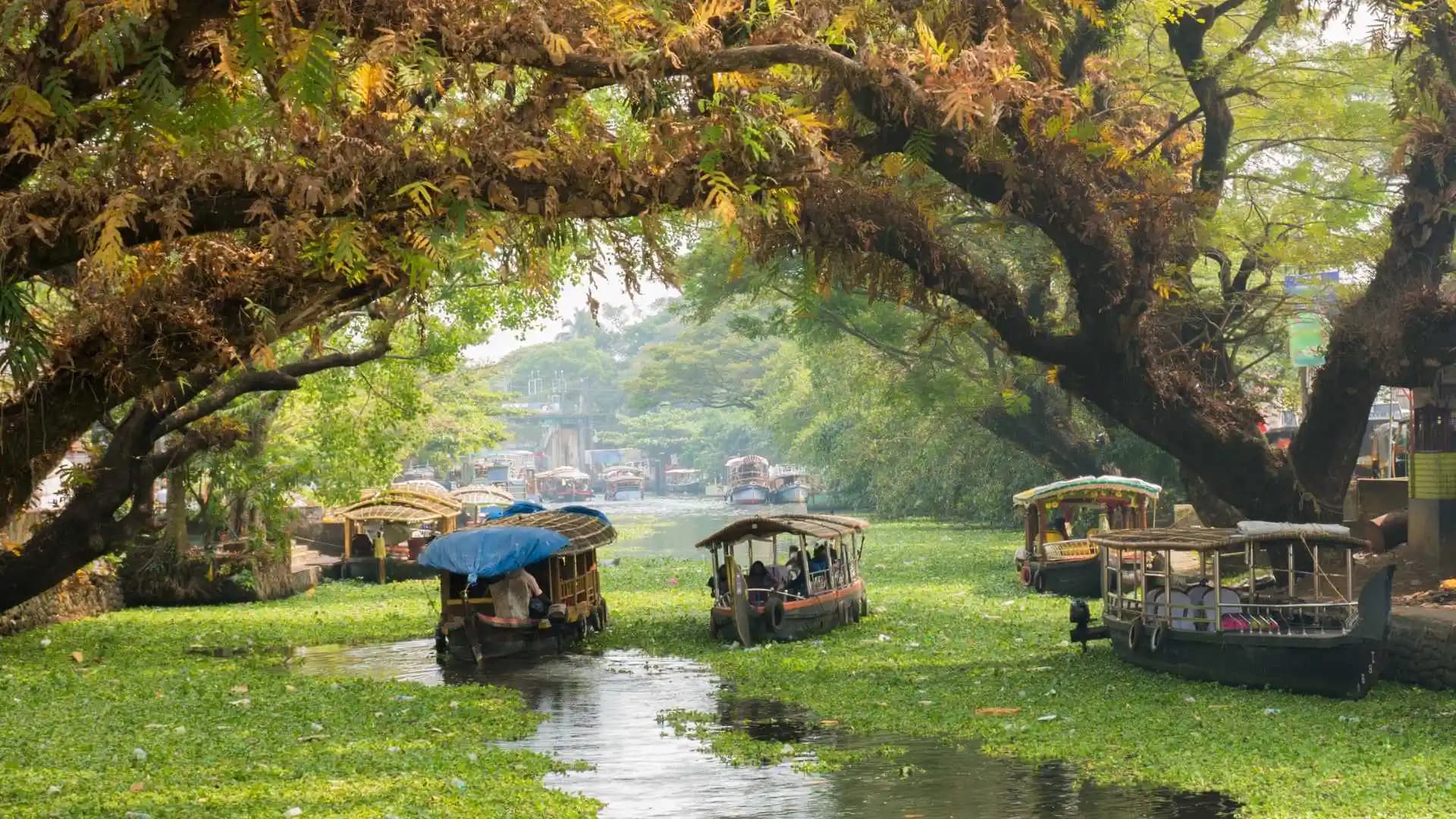 Alleppey Backwaters
