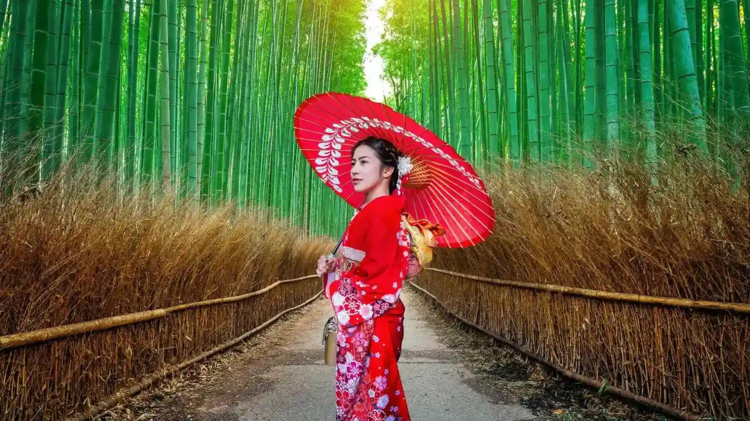 Arashiyama Bamboo Grove