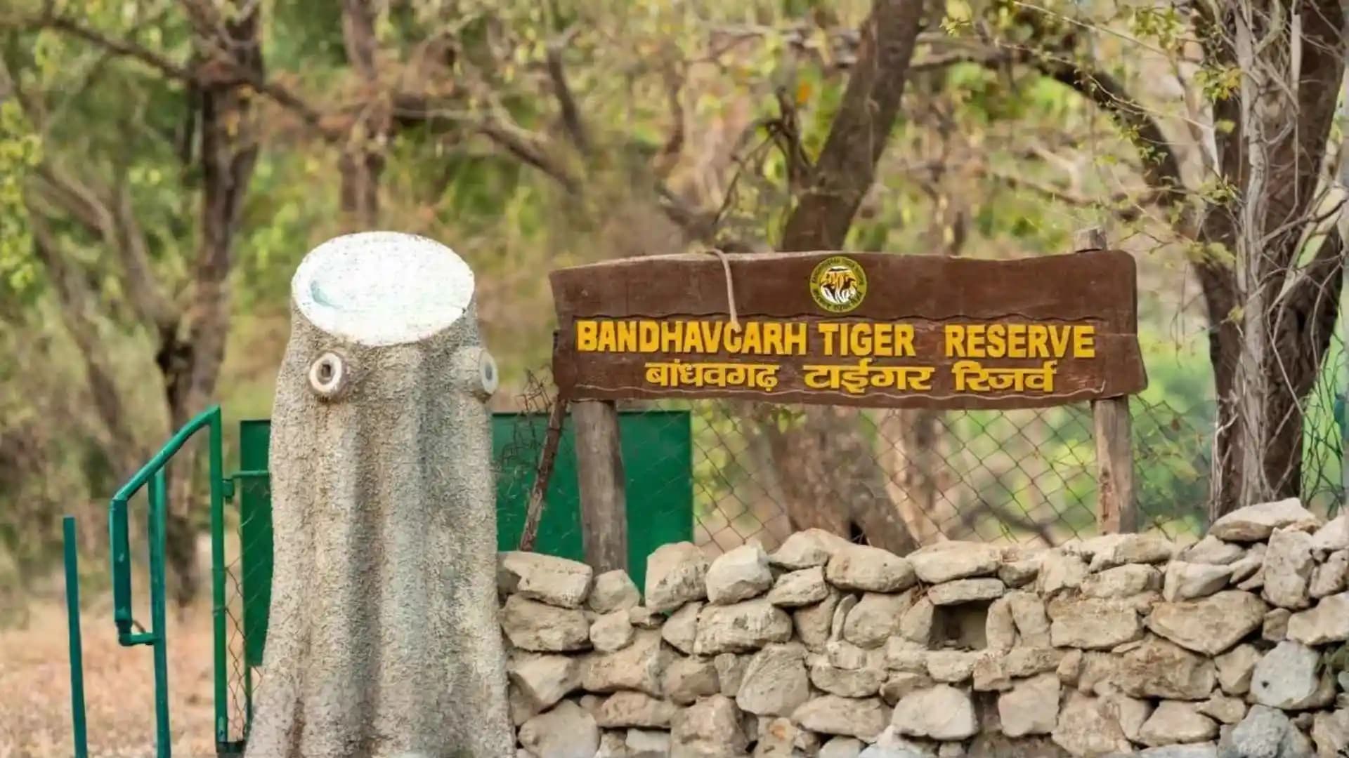 Bandhavgarh Tiger Reserve