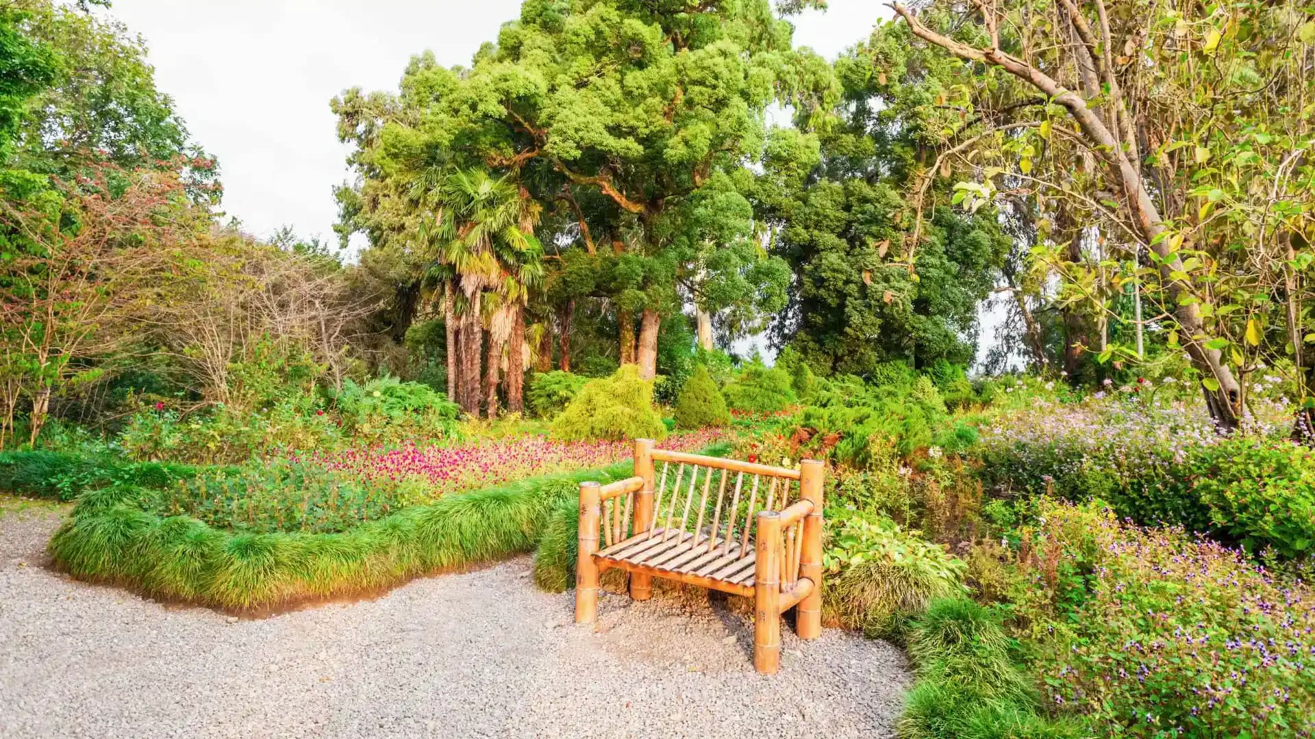 Batumi Botanical Garden