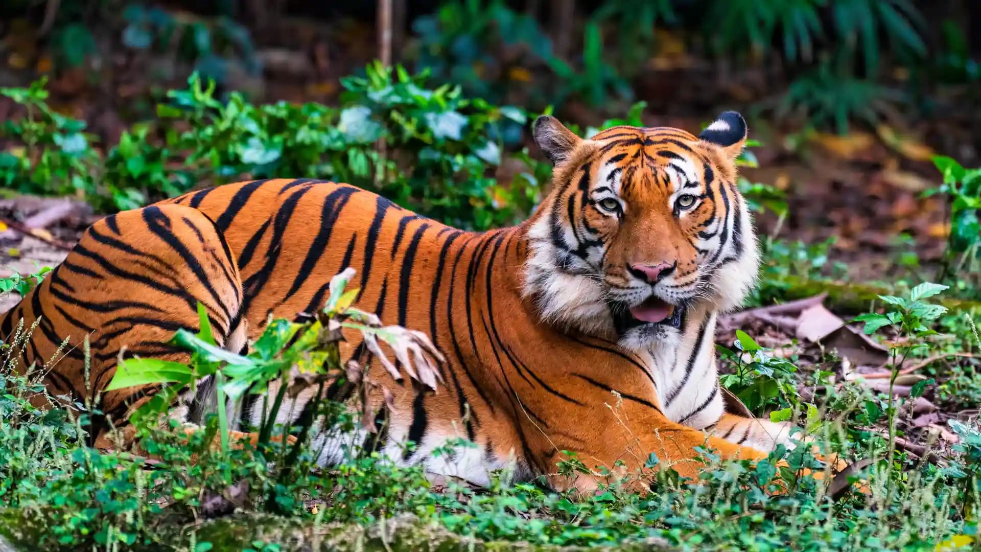 Karnataka Nature and Heritage Circuit