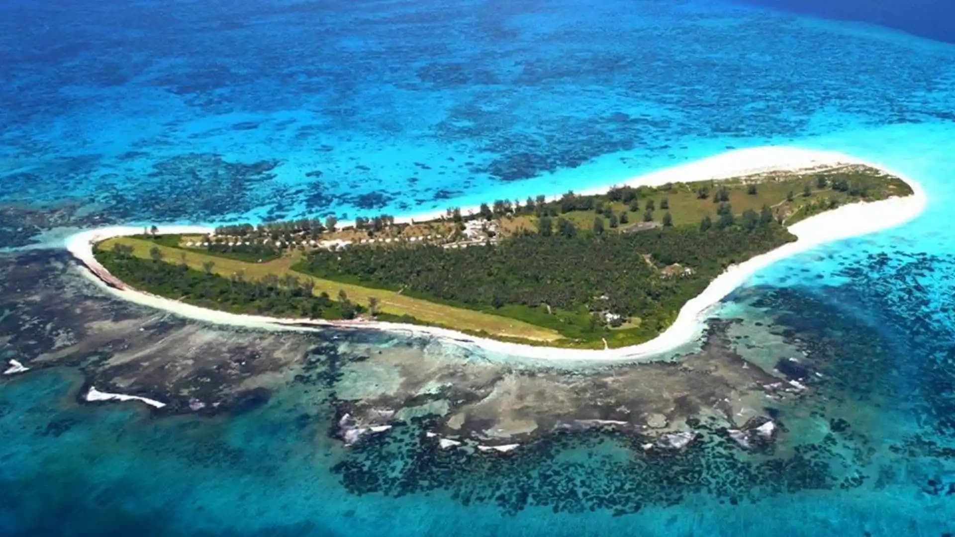 Bird Island