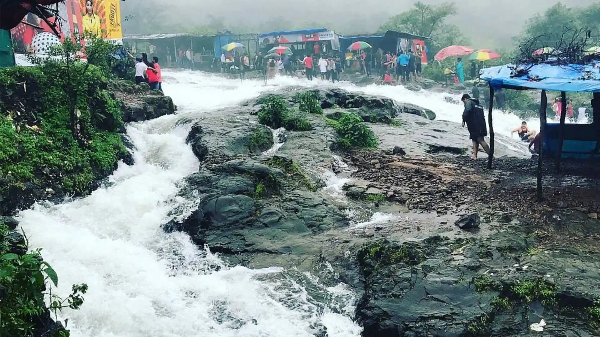 Bushy Dam