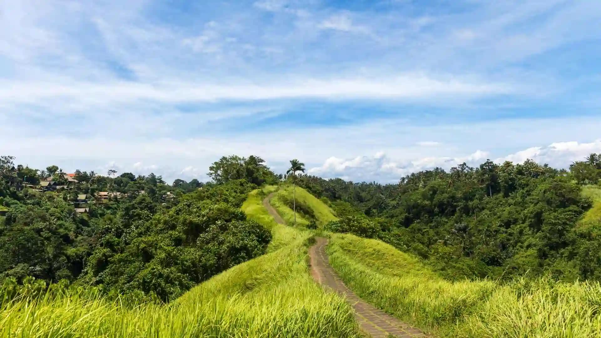 Campohan Ridge Walk