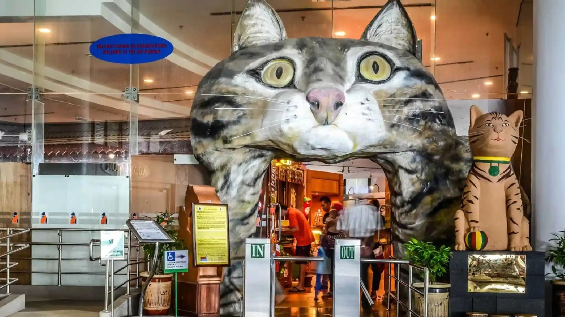 Cat Museum