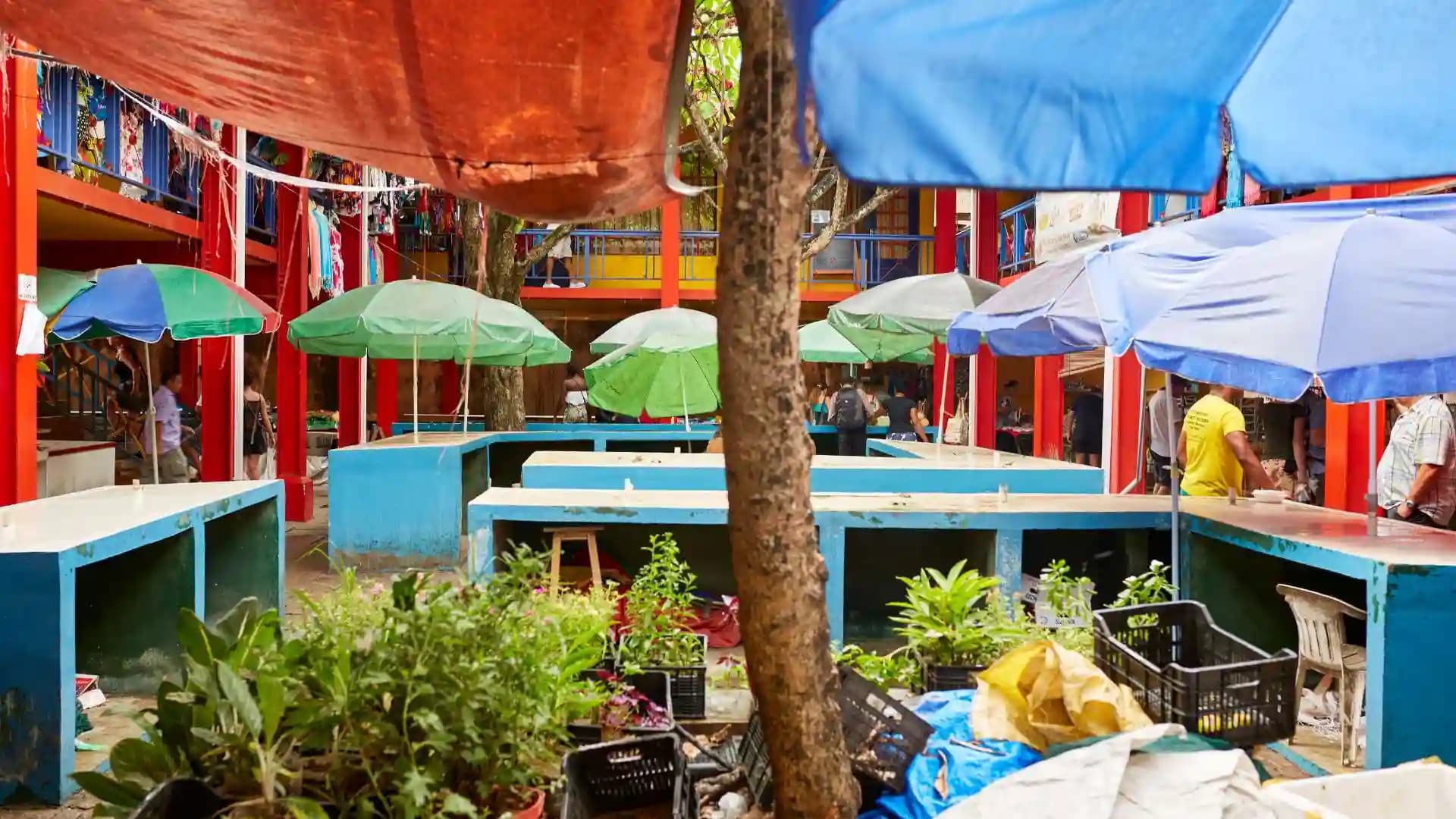Clarke Market