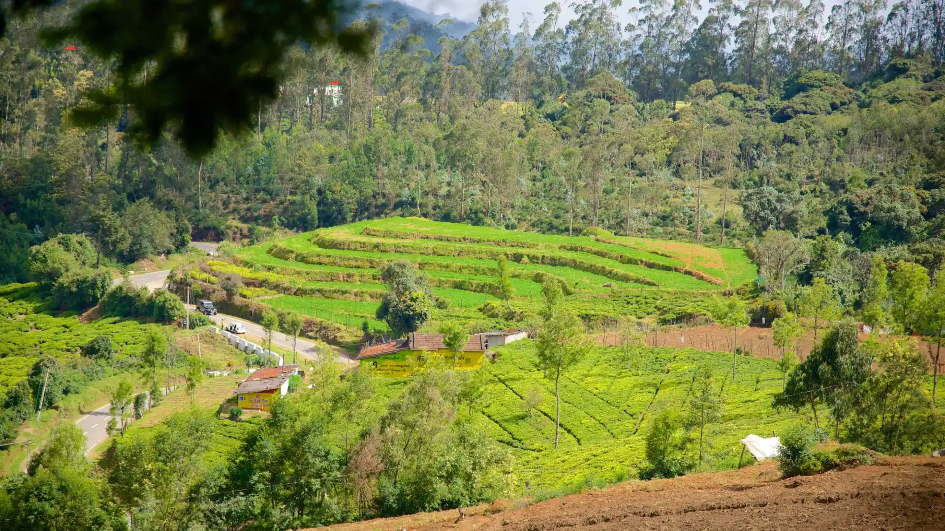 Doddabetta Peak Ooty