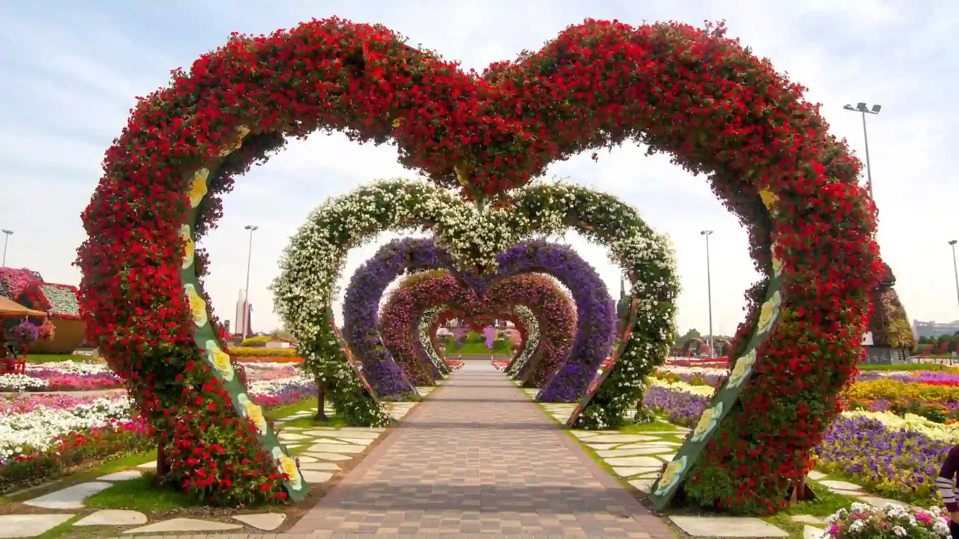 Miracle Garden Dubai