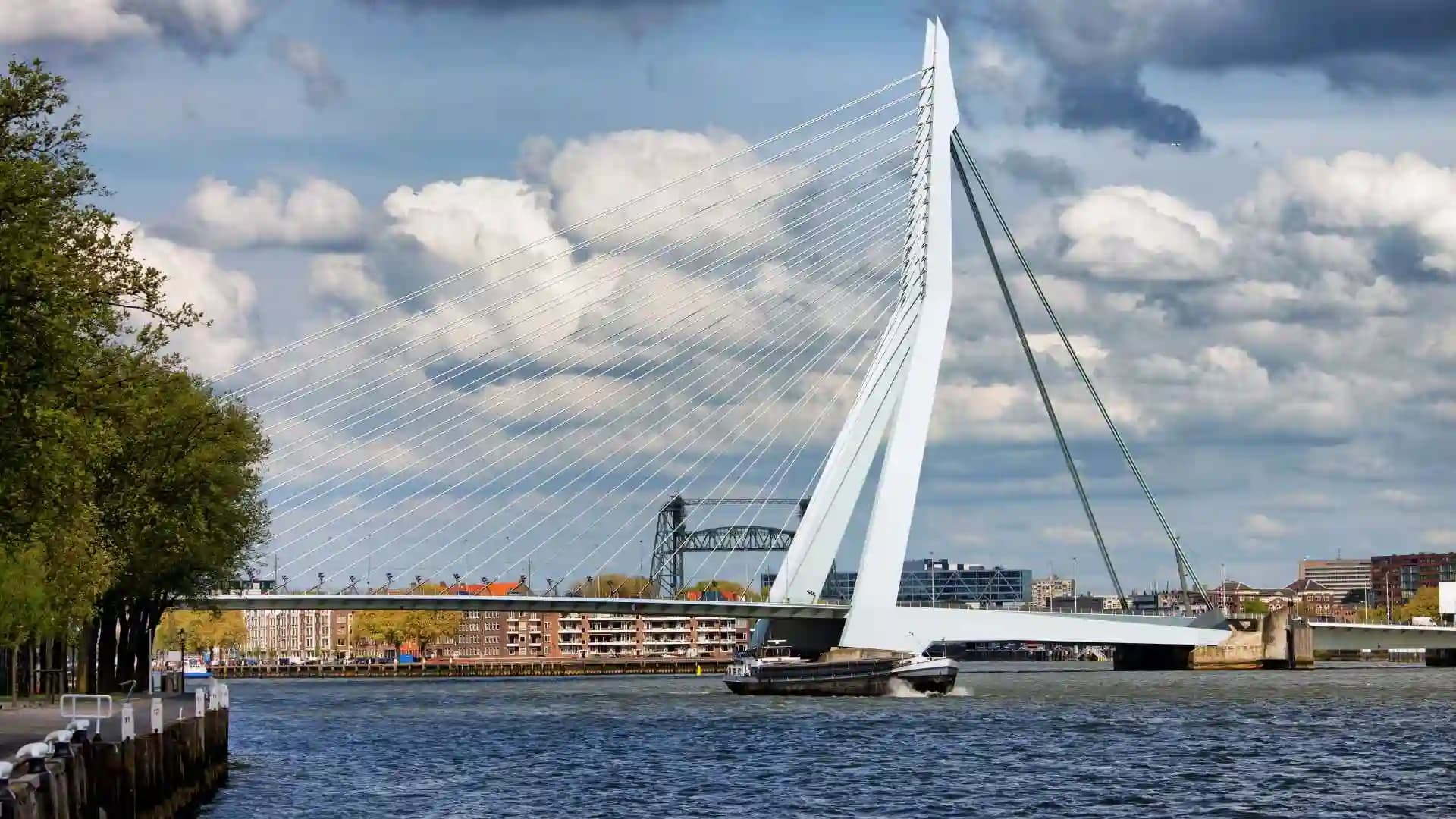 Erasmus Bridge