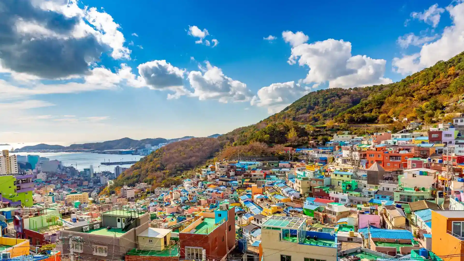 Gamcheon Culture Village