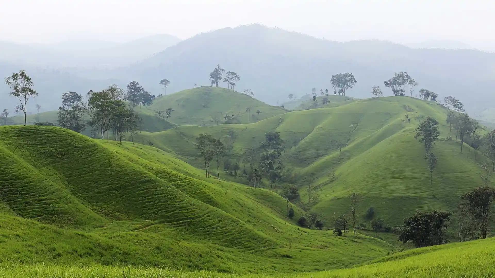 Green Valley View