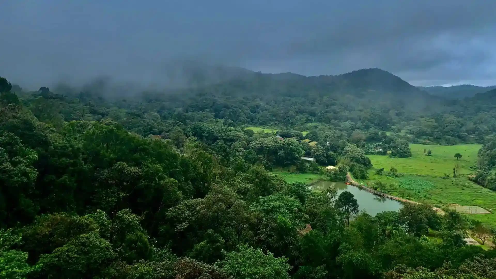 Hills of Coorg1