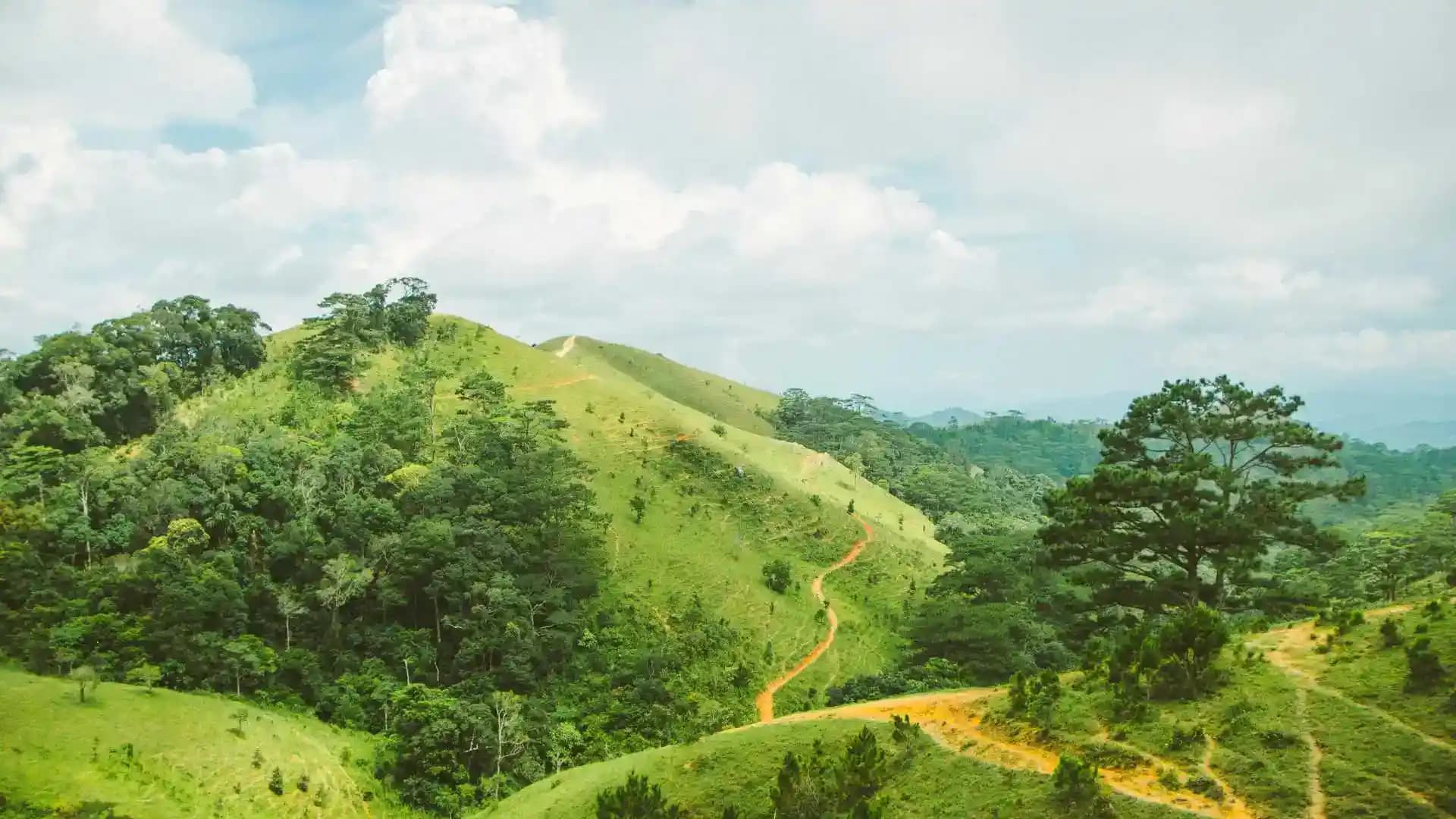 Hills of Coorg