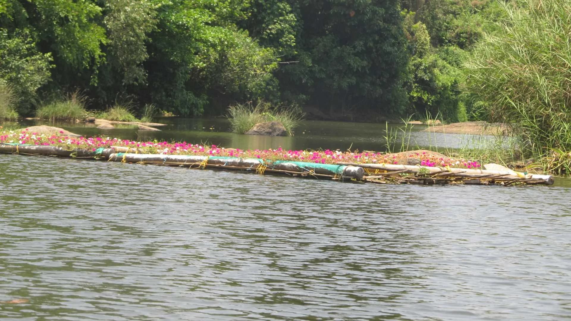 Kuruva Island Wayanad Kerala