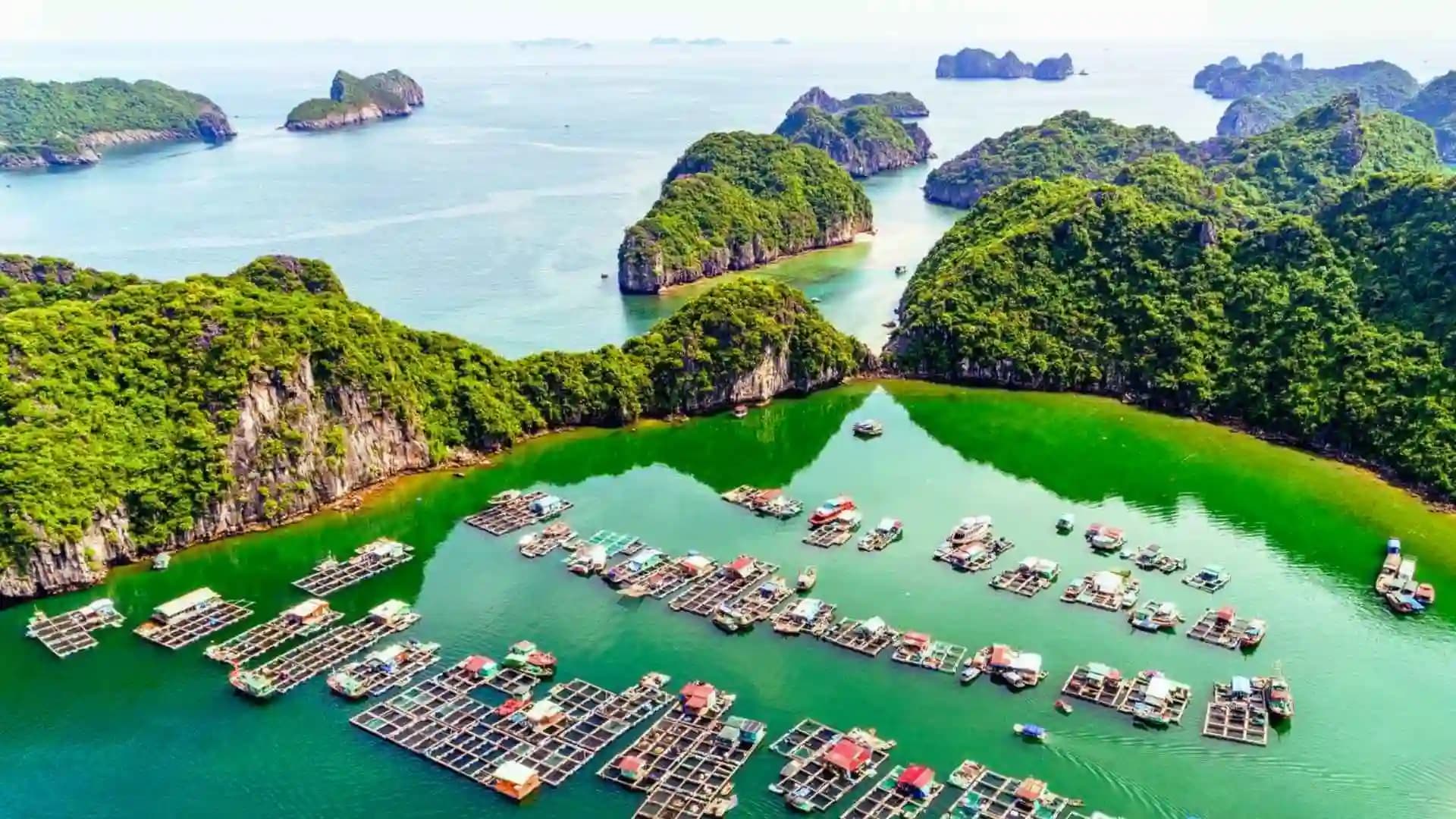 Lan Ha Bay