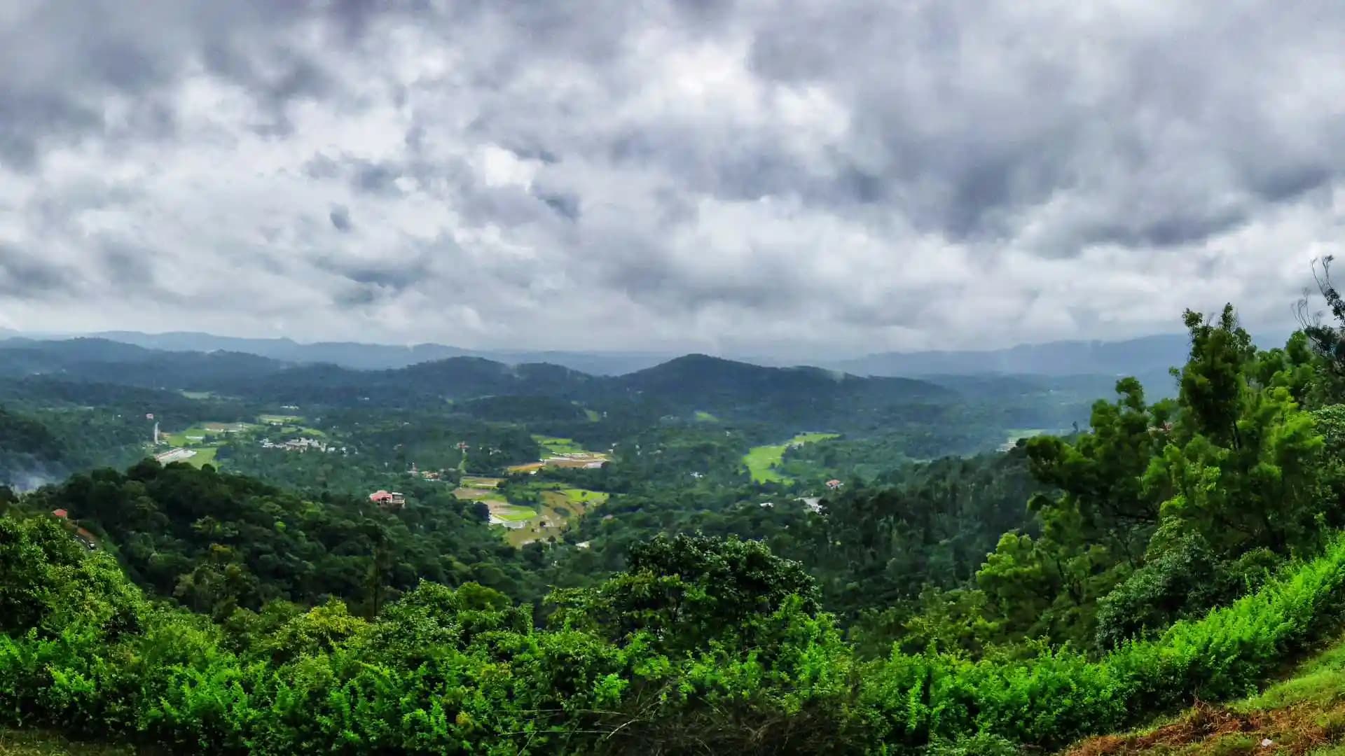 Landscapes of Coorg