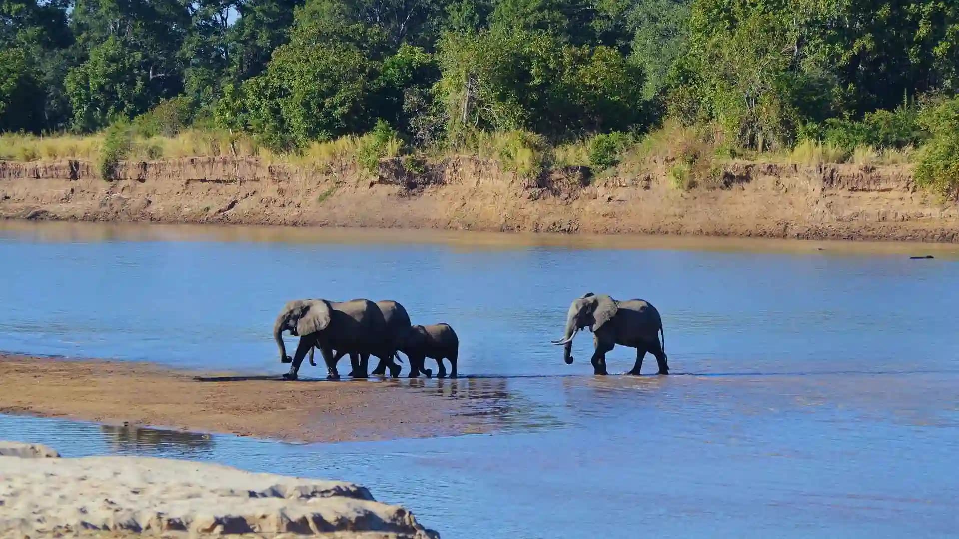 Luangwa River