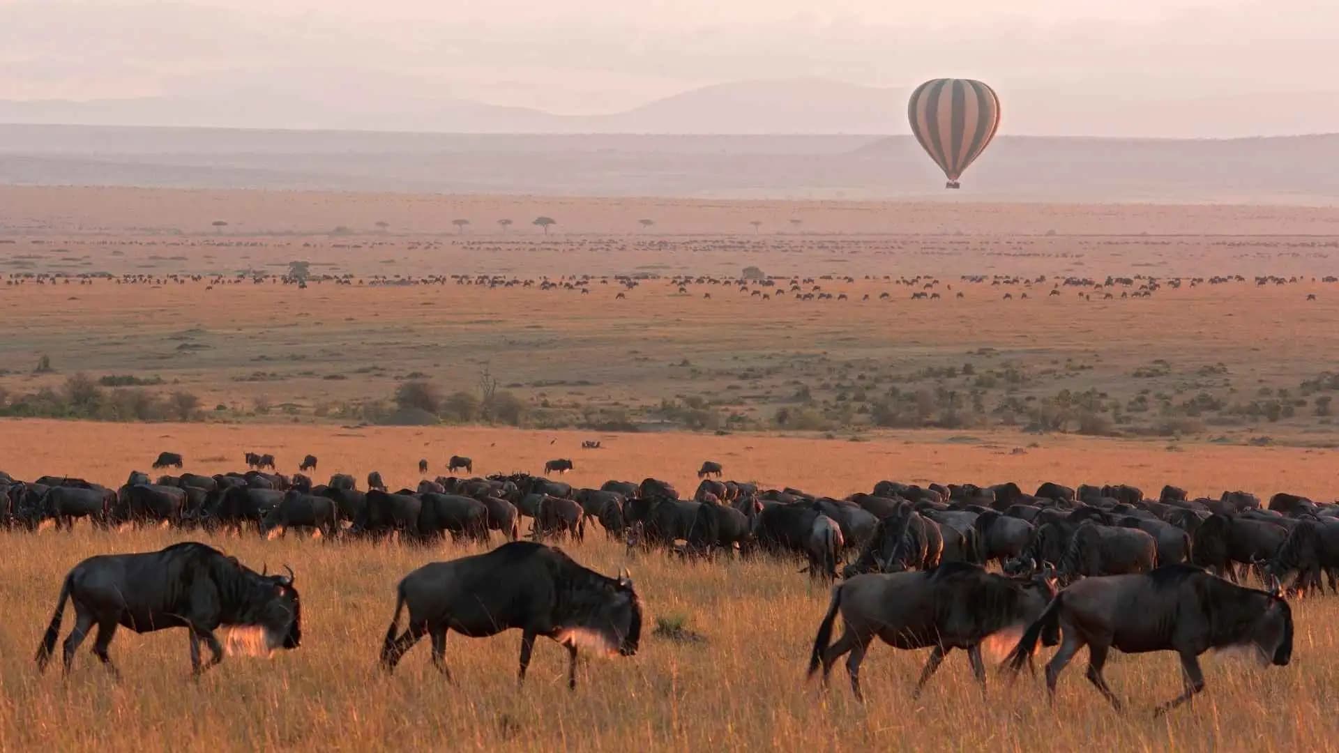 Maasai Mara