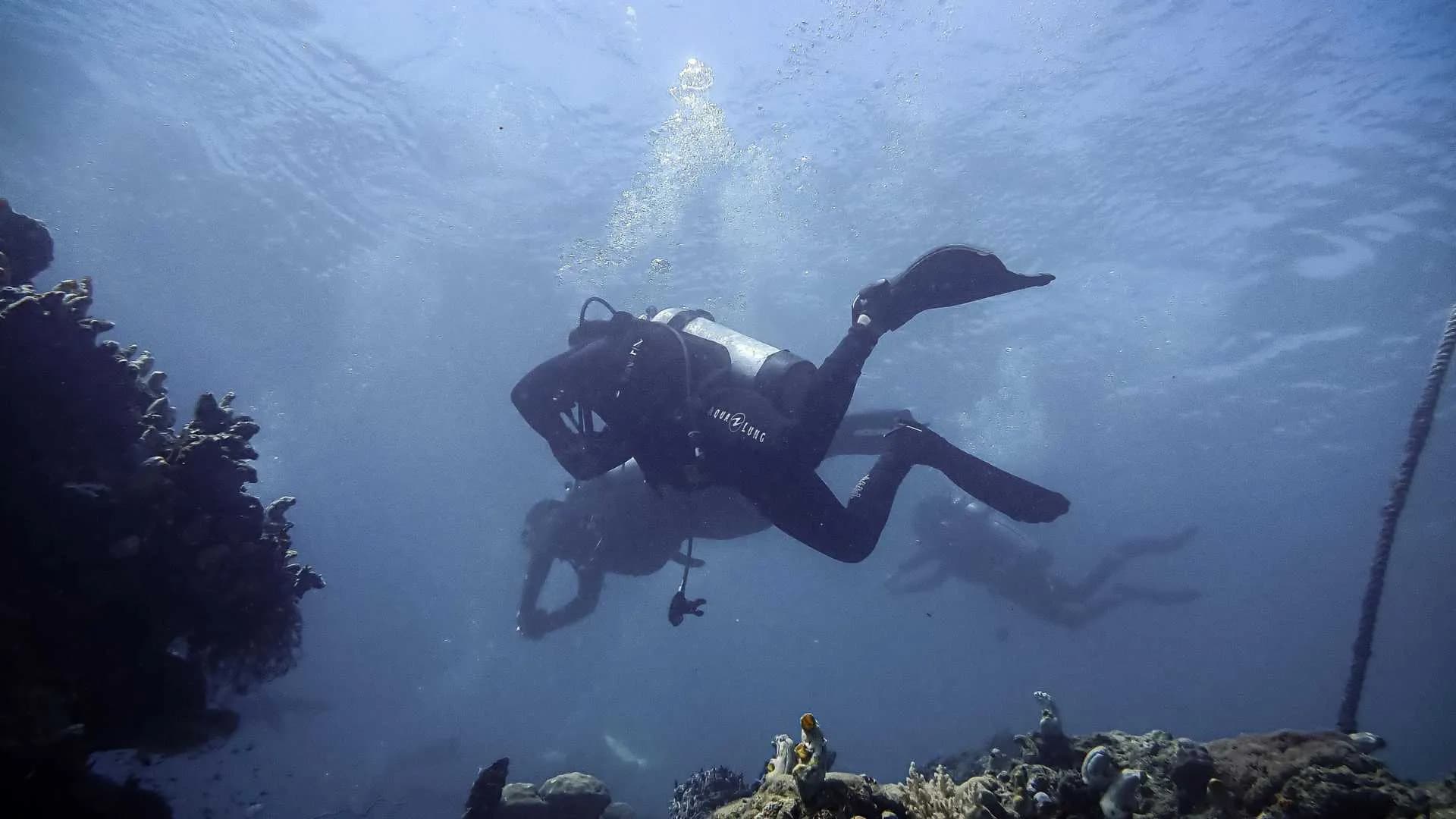 Mahe Reef Safari Seychelles