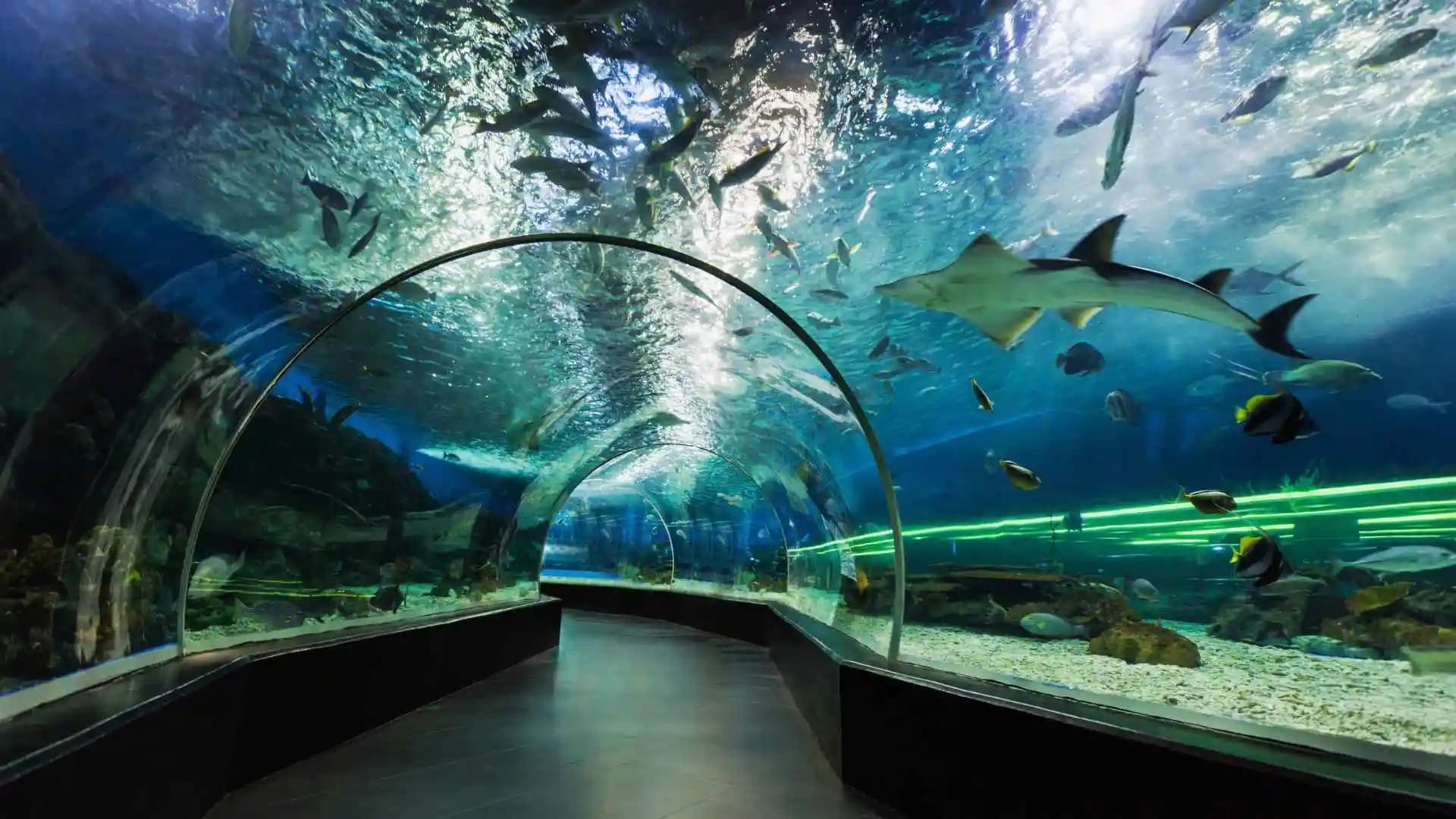 Manila Ocean Park