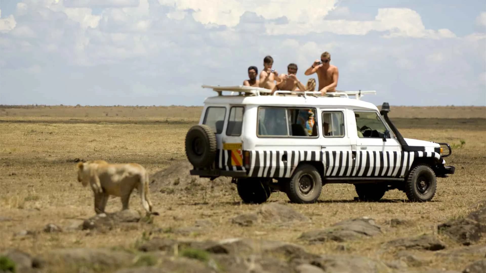 Masai Mara Safari Drives