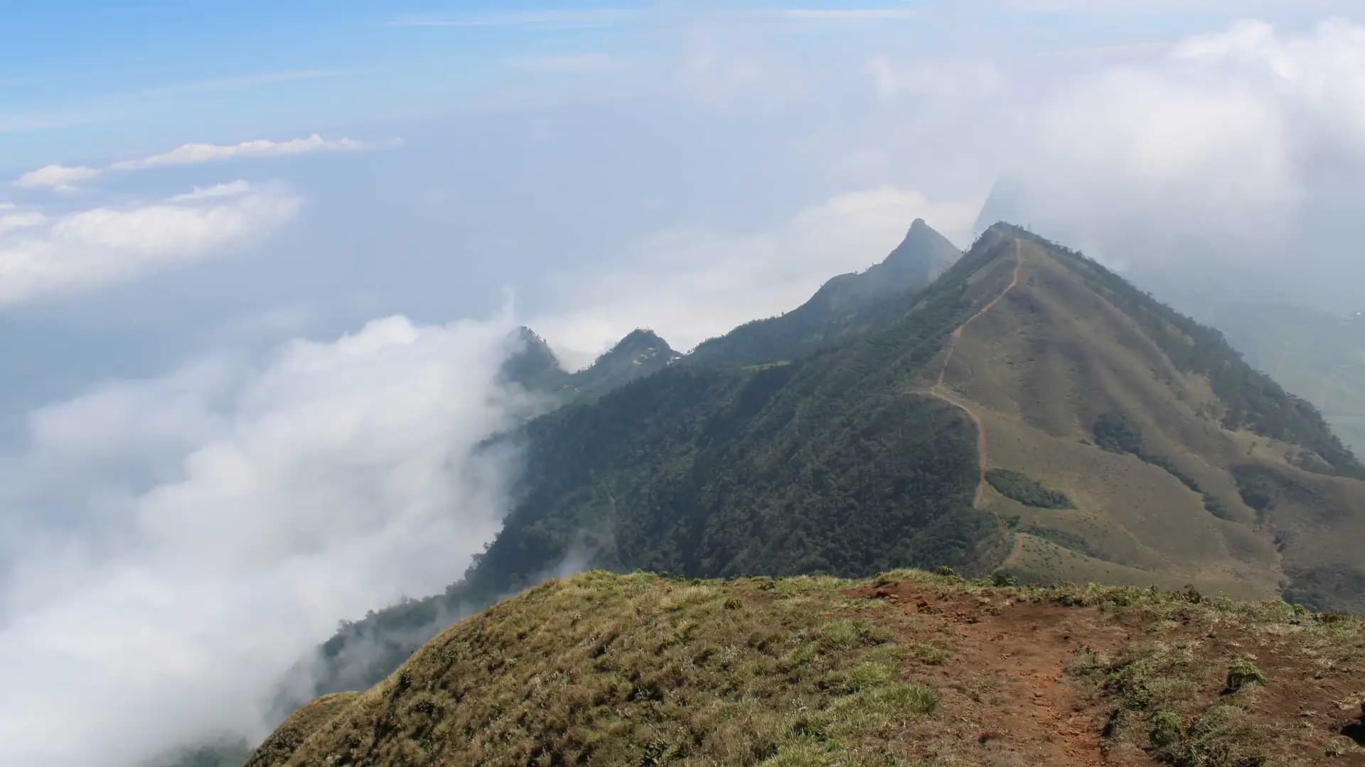 Meesapulimala
