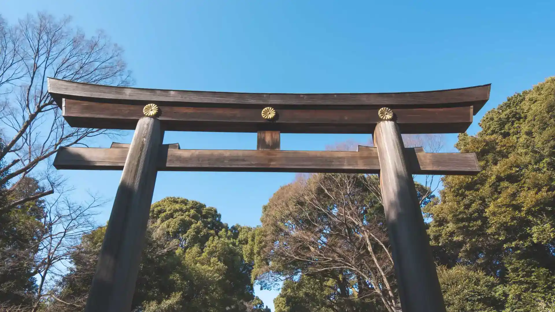Meiji Shrine