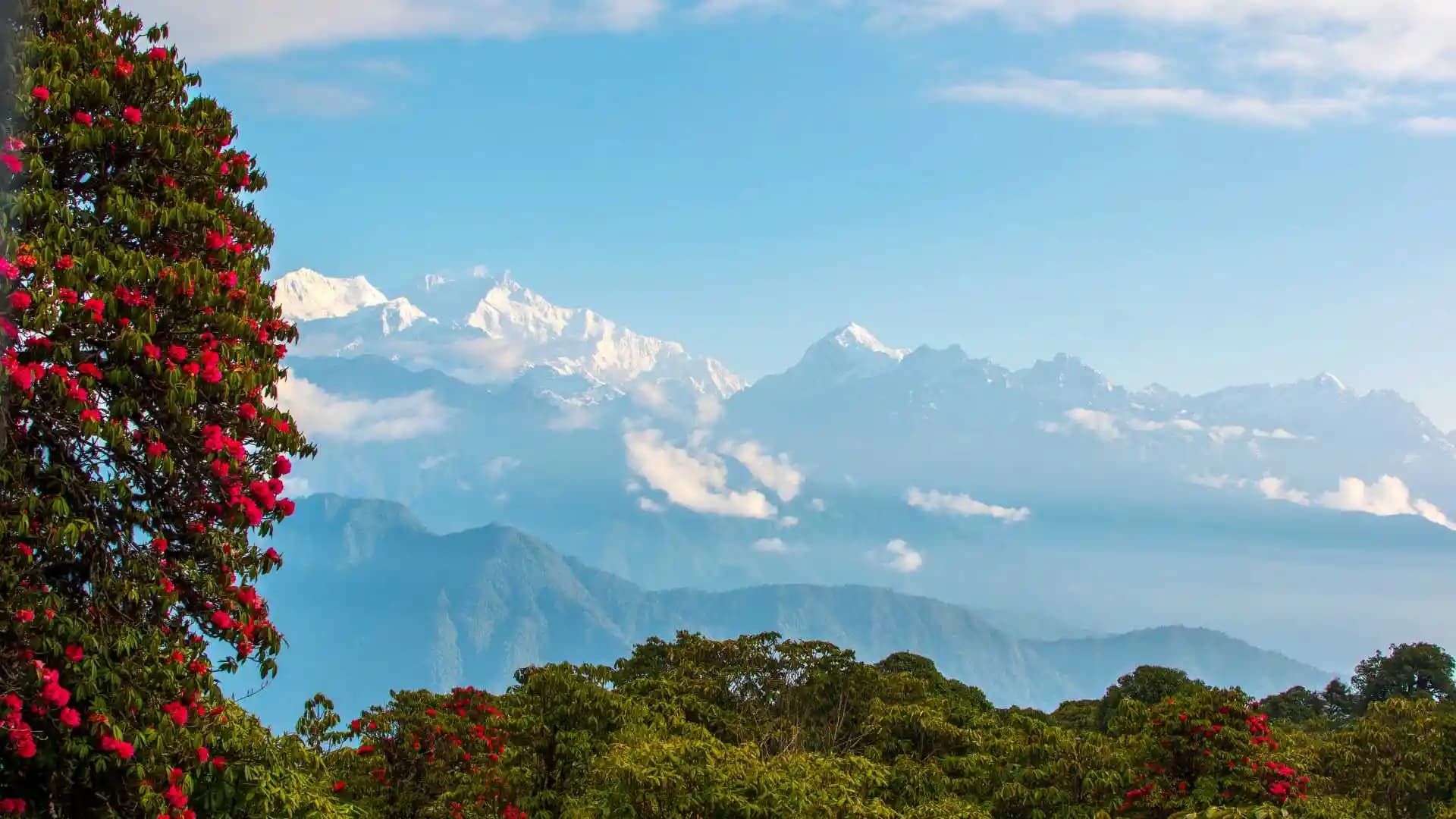 Mount Kanchenjunga