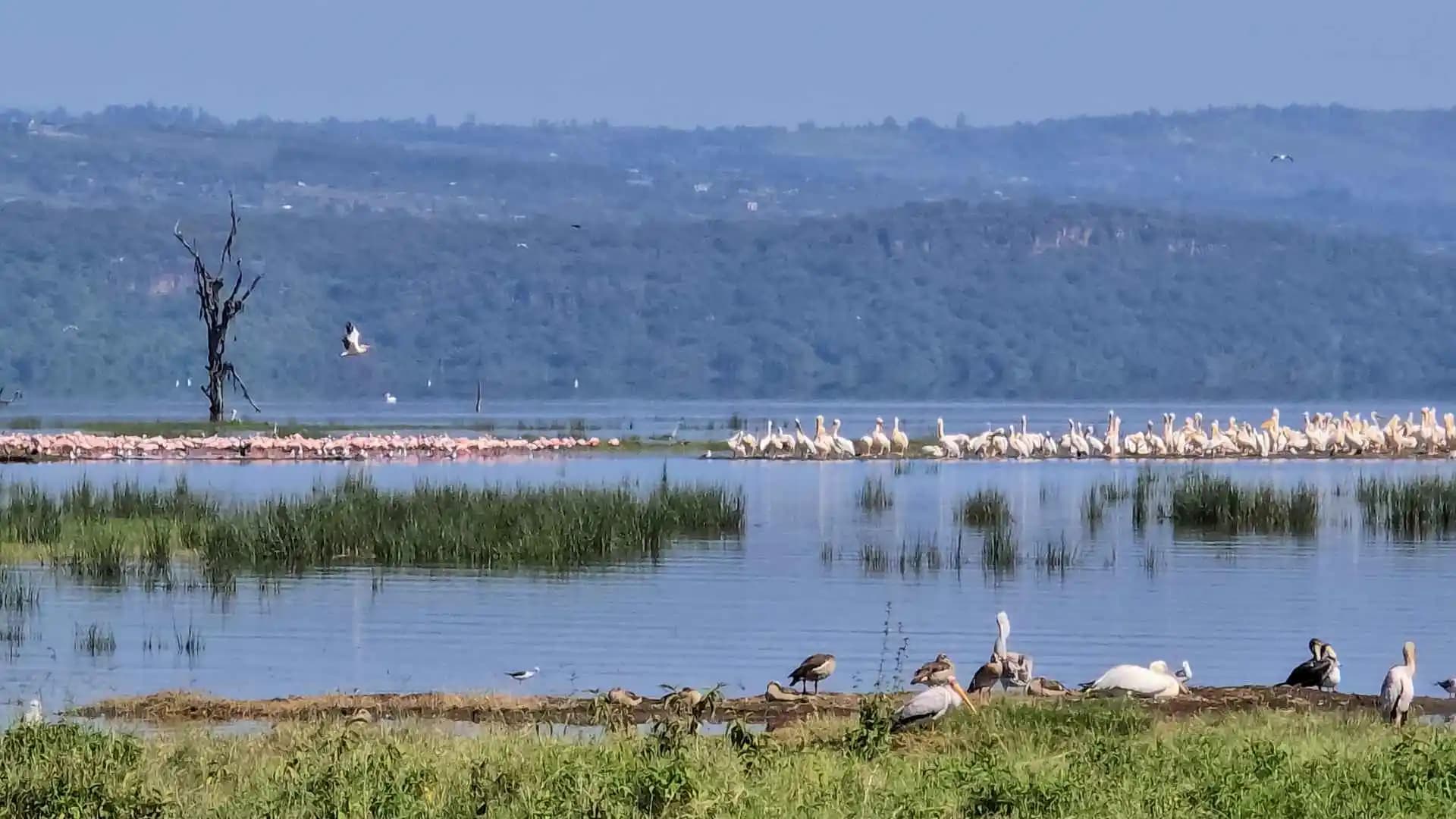 Nakuru