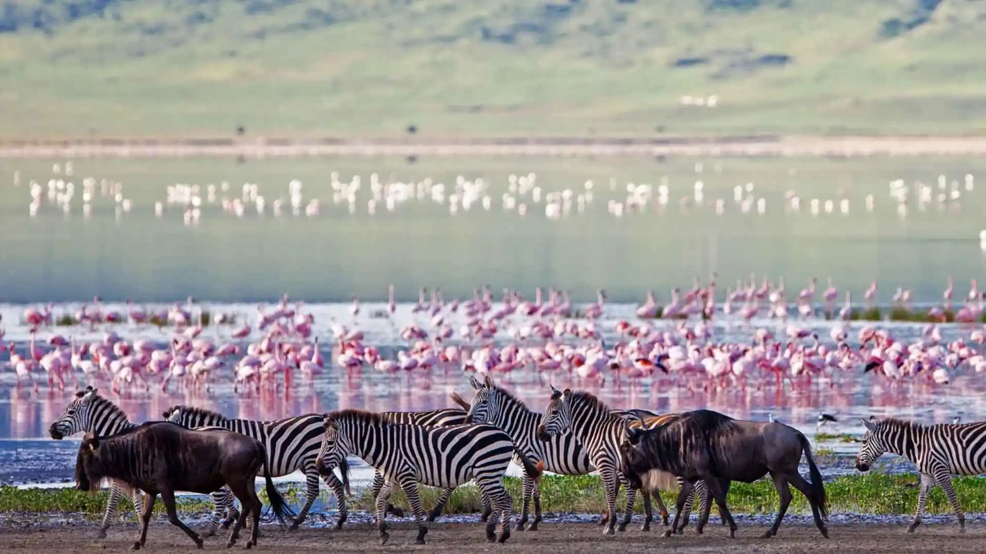 Ngorongoro Crater