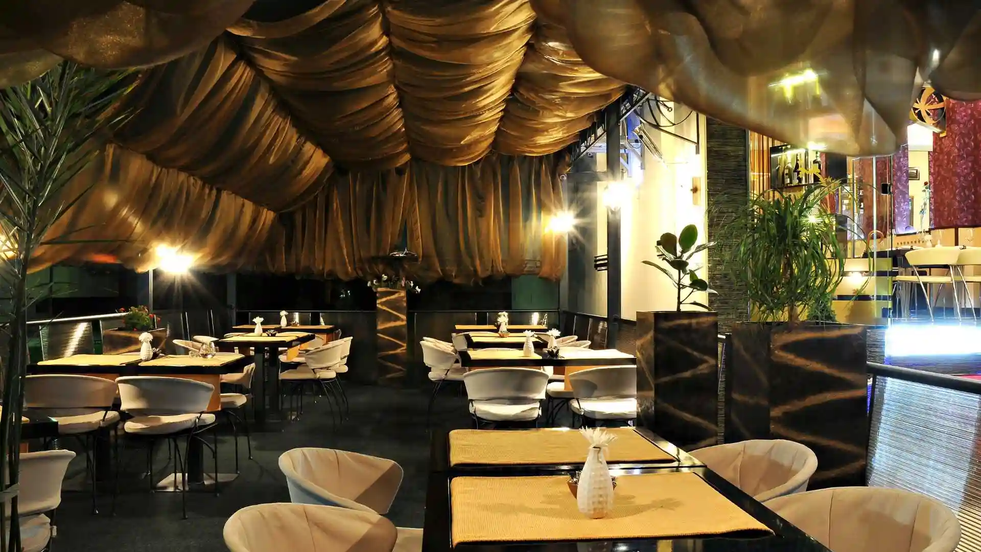 Nine Plush Restaurants Dubai