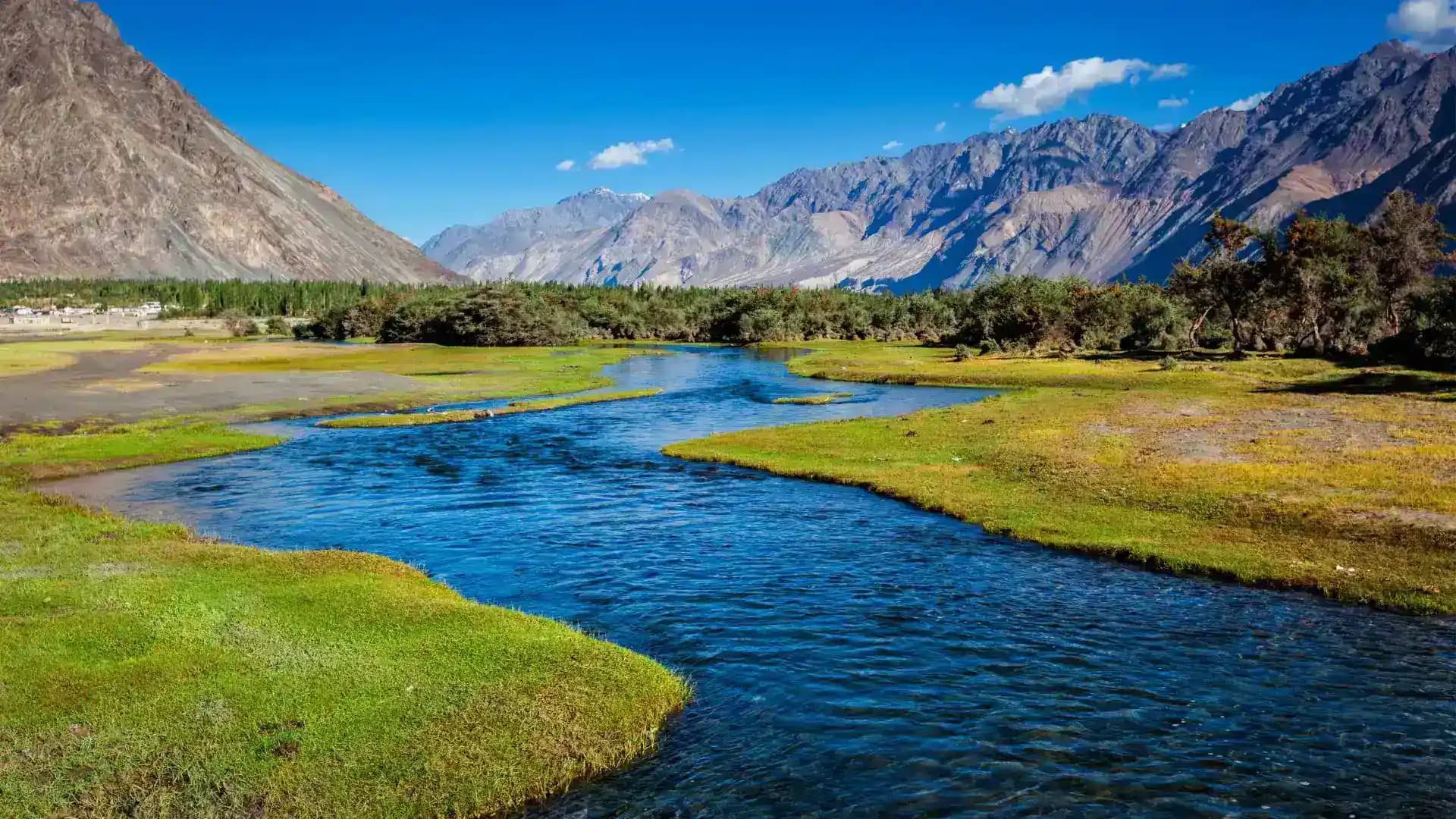 Nubra Valley Ladakh