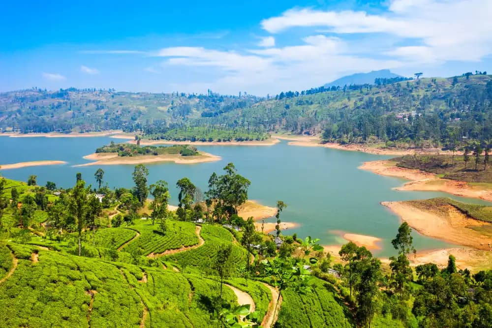 Nuwara Eliya
