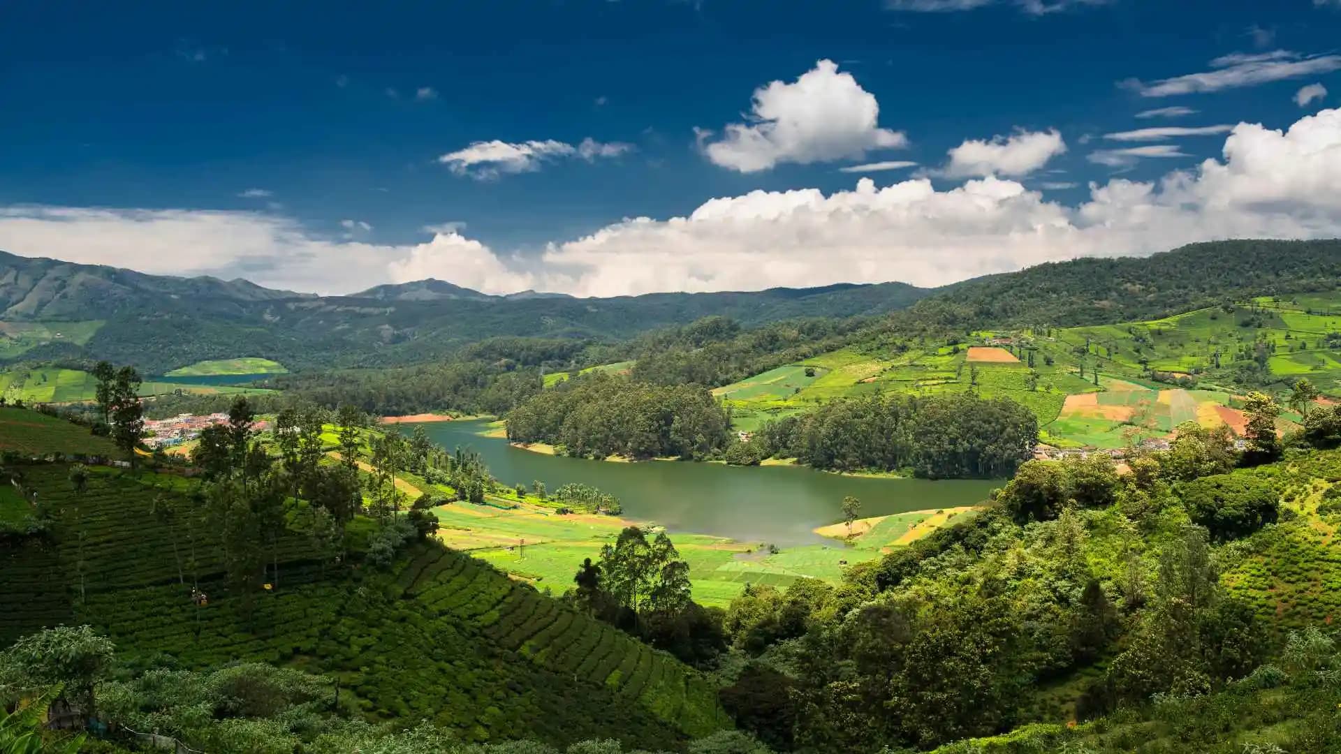 Mudumalai Wildlife Sanctuary Tamil Nadu