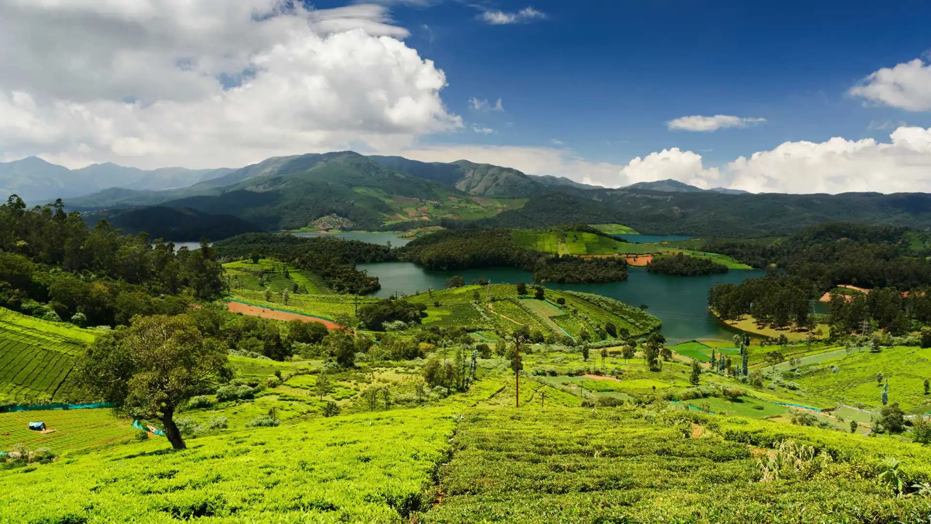 Ooty Hills
